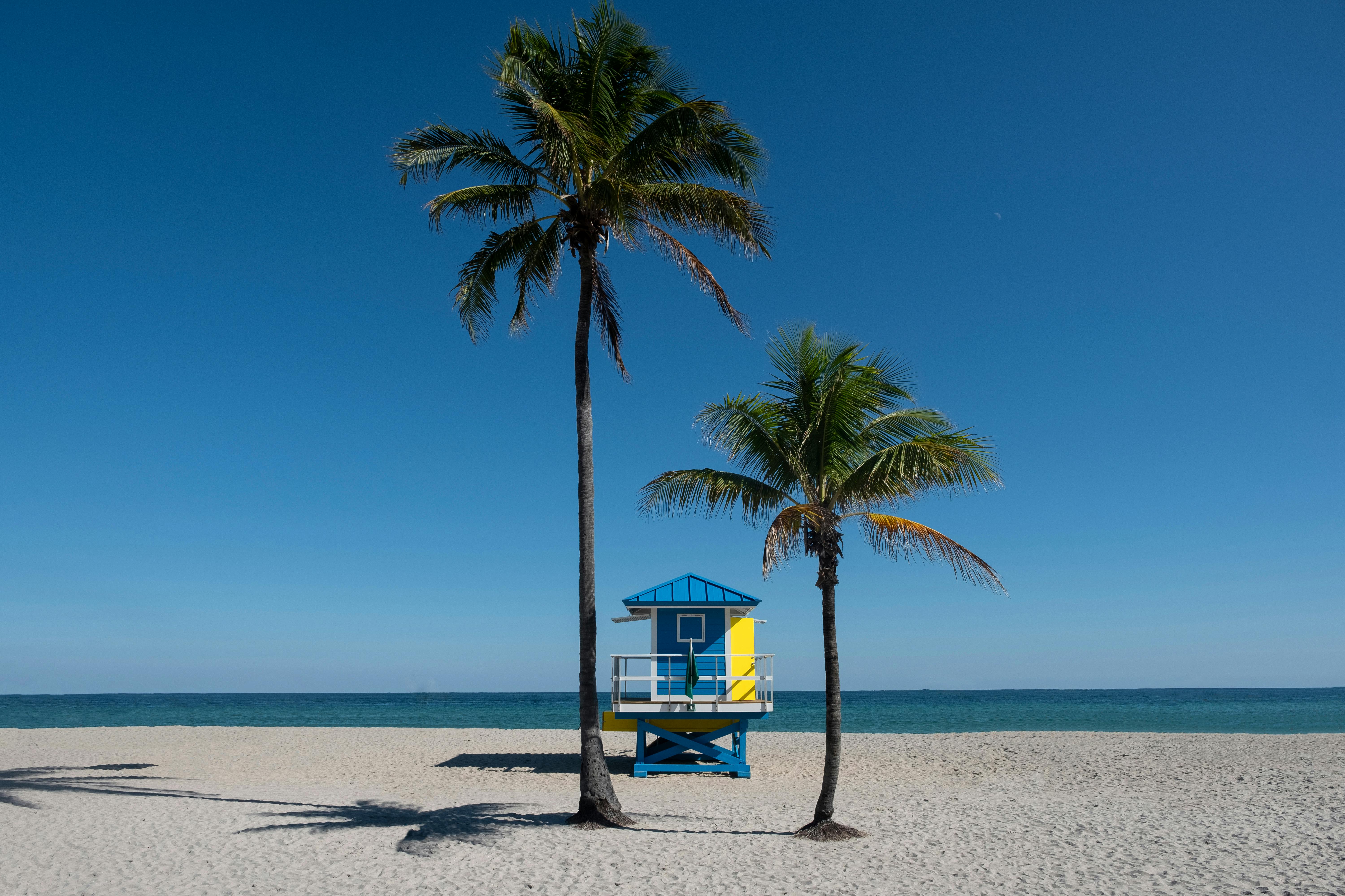 Young women collaborating in Fort Lauderdale